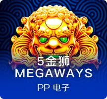 5金狮
